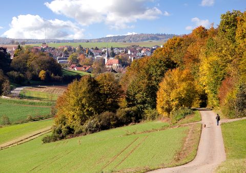 Wandern im Neulinger Grund